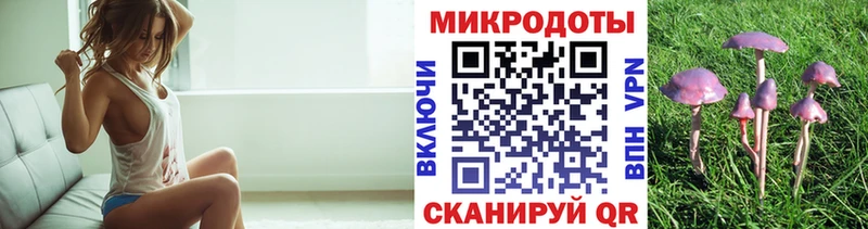 Галлюциногенные грибы Psilocybine cubensis  где найти   Коломна 